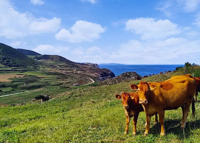 Piso El Prau * 수안세스